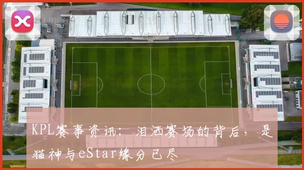 KPL赛事资讯：泪洒赛场的背后，是猫神与eStar缘分已尽
