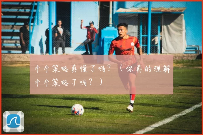 牛牛策略真懂了吗？（你真的理解牛牛策略了吗？）