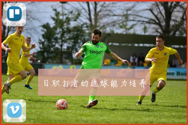 日职打者的选球能力培养