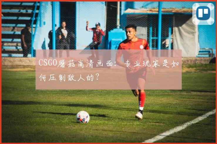 CSGO蘑菇高清画面：专业玩家是如何压制敌人的？