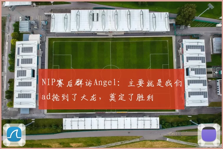 NIP赛后群访Angel：主要就是我们ad抢到了大龙，奠定了胜利