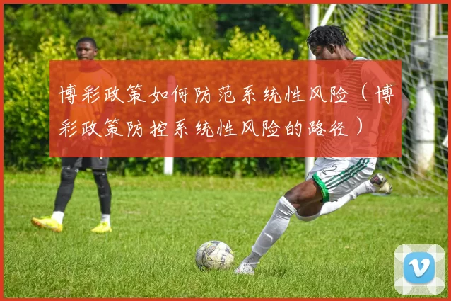 博彩政策如何防范系统性风险（博彩政策防控系统性风险的路径）